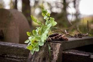 Lahjakortti 50e - Lahjakortit - 99999984-50 - 2